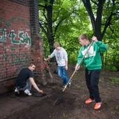 Na pomoc zdewastowanej kapliczce