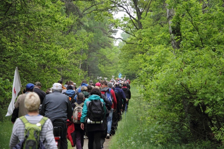 360. Łowicka Piesza Pielgrzymka na Jasną Górę, cz. II