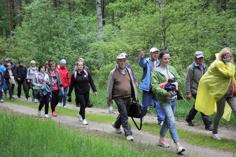 360. Łowicka Piesza Pielgrzymka na Jasną Górę, cz. II