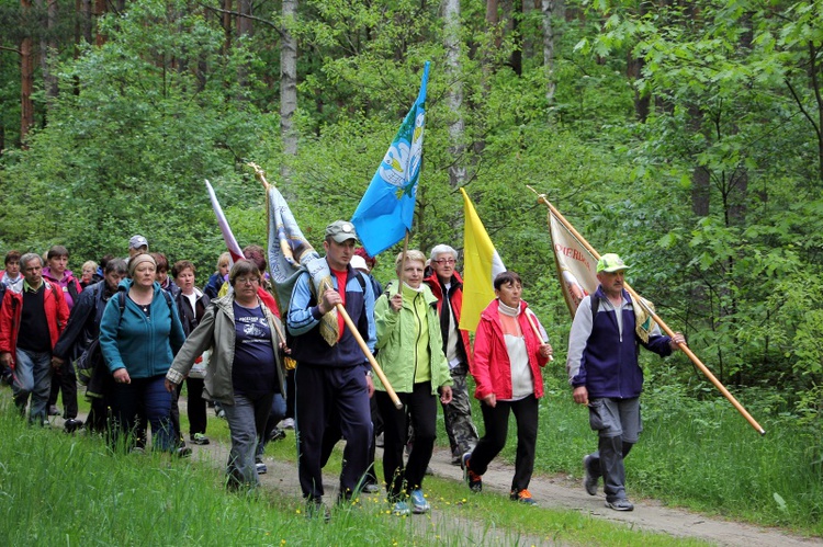 360. Łowicka Piesza Pielgrzymka na Jasną Górę, cz. II