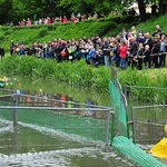 Wyścig kaczek w roku 2015