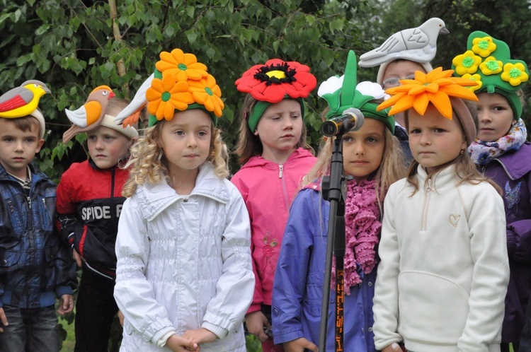 V Festyn w Luszowicach