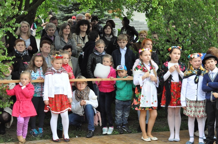 V Festyn w Luszowicach