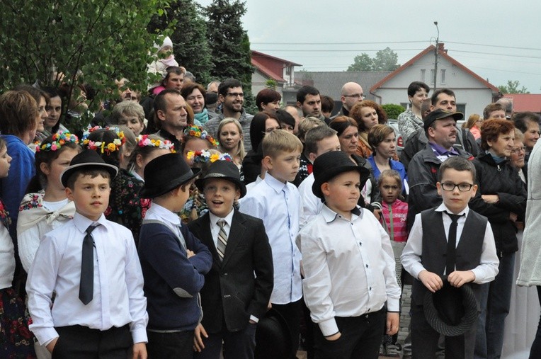 V Festyn w Luszowicach