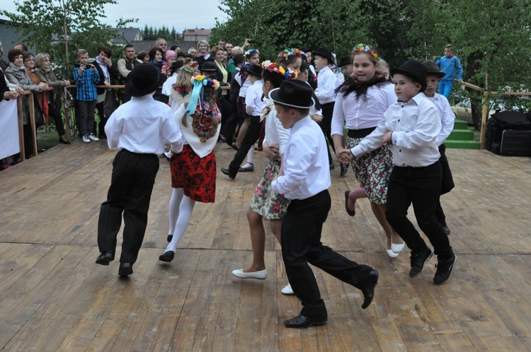 V Festyn w Luszowicach
