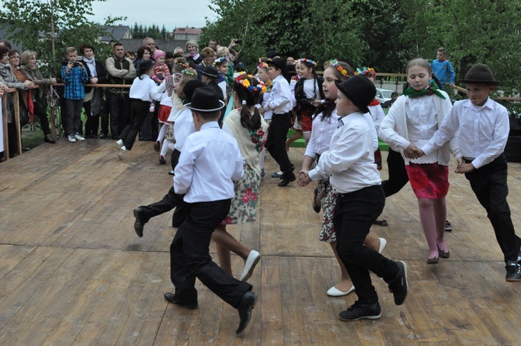 V Festyn w Luszowicach