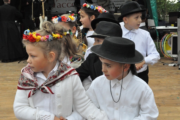 V Festyn w Luszowicach