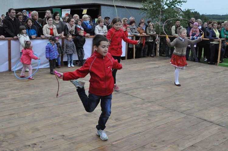 V Festyn w Luszowicach