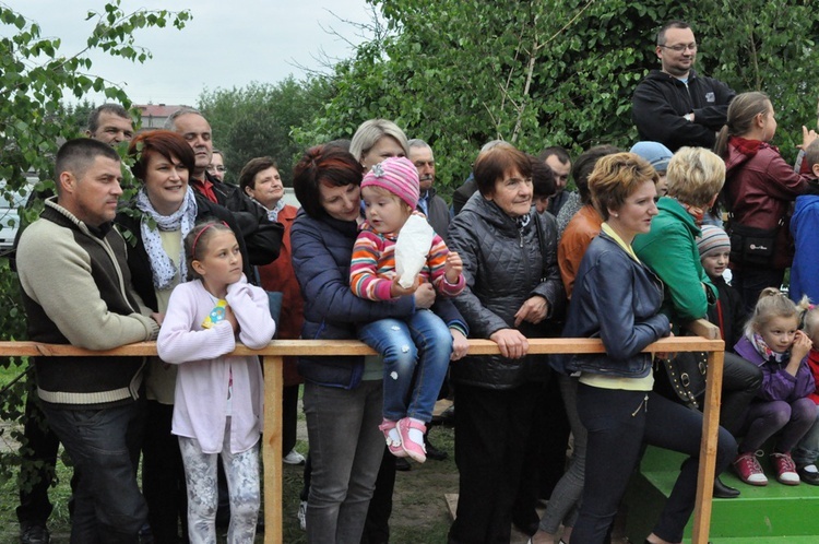 V Festyn w Luszowicach