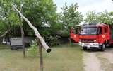 Dym zaczął wydobywać się przy jednej z zagród łowickich na terenie skansenu