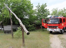 Dym zaczął wydobywać się przy jednej z zagród łowickich na terenie skansenu