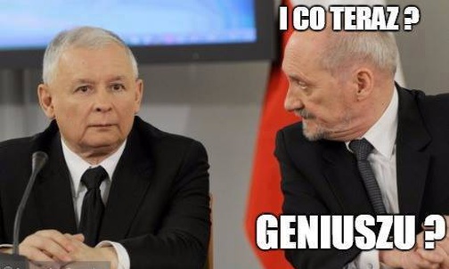Bigos z budyniem