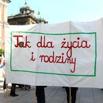 Marsz dla Życia i Rodziny Kraków 2015