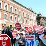 Marsz dla Życia i Rodziny Kraków 2015