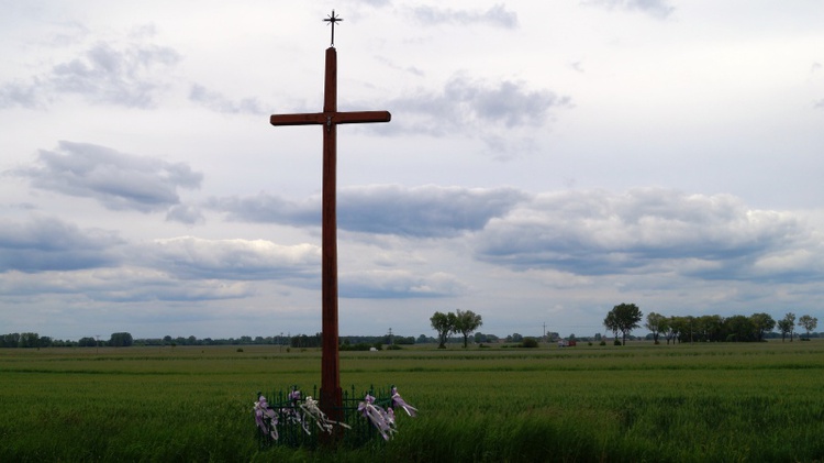 Przydrożne krzyże i figury Chrystusa