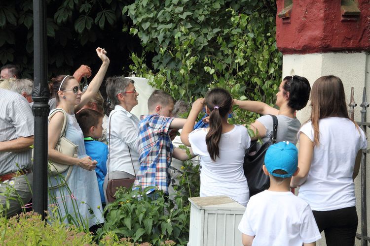 Dominikańska procesja