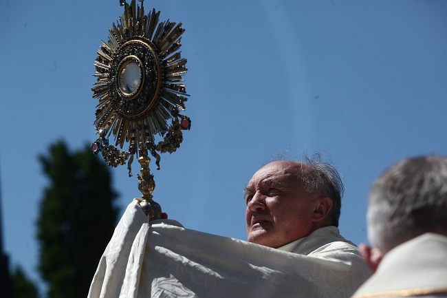 Tłumy szły za Chrystusem