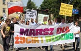 IV Marsz dla Życia i Rodziny - Wodzisław Śl. 2015