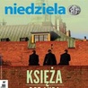 Niedziela 23/2015