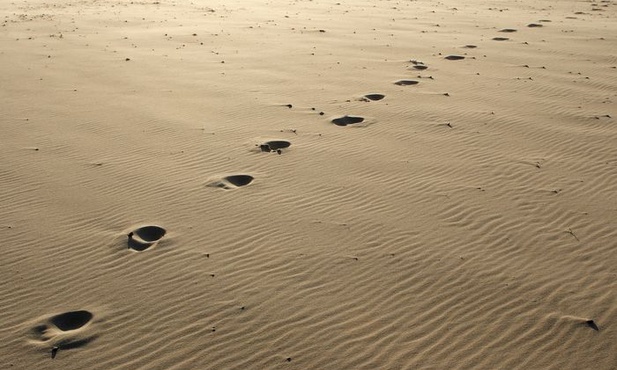 W czym mrówka pomoże słoniowi?