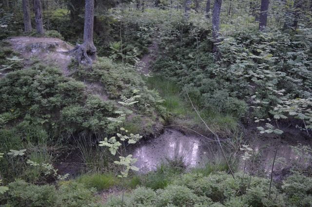 Rezerwat "Bór na Czerwonem" i okolice