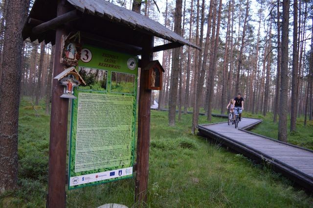 Rezerwat "Bór na Czerwonem" i okolice