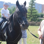 Festyn Rodzinny w parafii Chrystusa Odkupiciela Człowieka