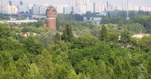 Śląskie: nie chcą murów między subregionami