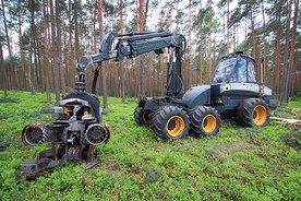  Maszyna Harvester 1270 B obrabia ścięte drzewa w Nadleśnictwie Gidle koło Częstochowy 