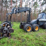  Maszyna Harvester 1270 B obrabia ścięte drzewa w Nadleśnictwie Gidle koło Częstochowy 