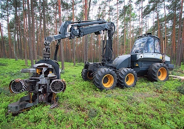  Maszyna Harvester 1270 B obrabia ścięte drzewa w Nadleśnictwie Gidle koło Częstochowy 