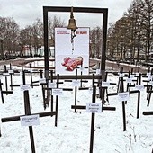 Antyaborcyjny protest w centrum Moskwy. Na krzyżach wypisano, kim mogłyby być dzieci  zabite w łonach matek.  Na plakacie napis: „Nie zabijaj”