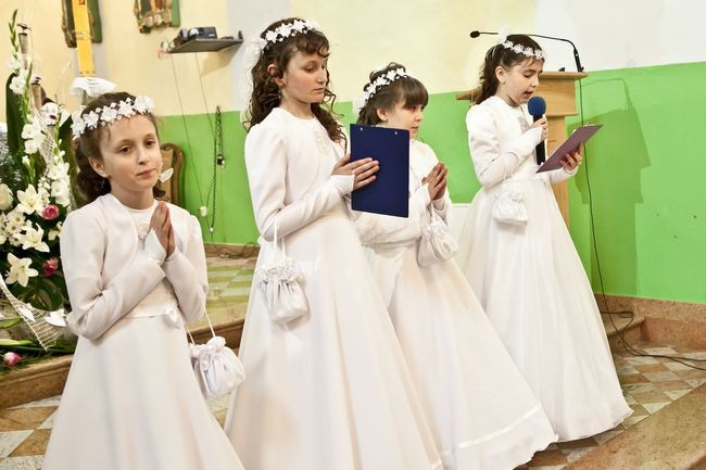 Pierwsza Komunia w Rybitwach