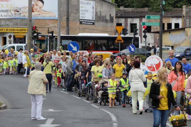 Krowód Wrażliwości w Gorzowie Wlkp.