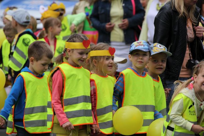 Krowód Wrażliwości w Gorzowie Wlkp.