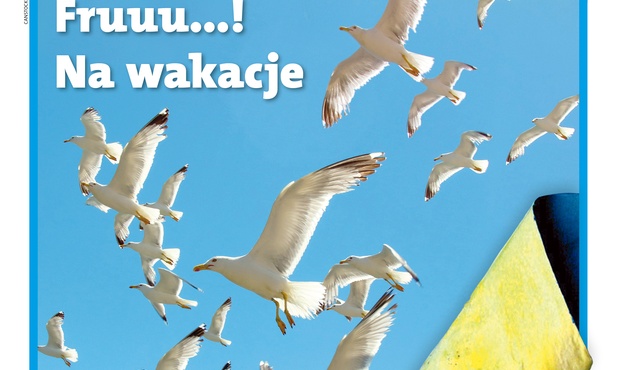 Fruuu...! Na wakacje.