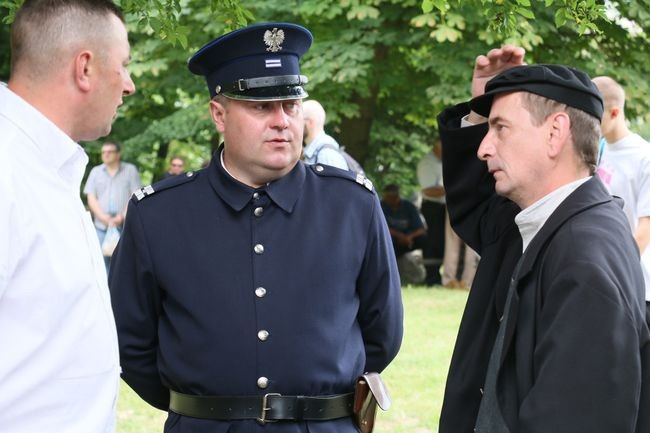 Jak kupić konia?