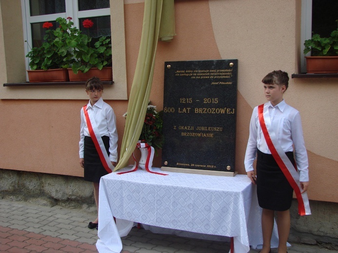 Jubileusz w Brzozowej