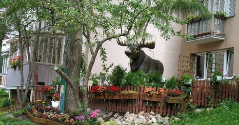 Jury będzie oceniać pomysł i oryginalność