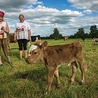     Anna Gonsowska z córką Angeliką doglądają na łące  nowo narodzonych cielaków 