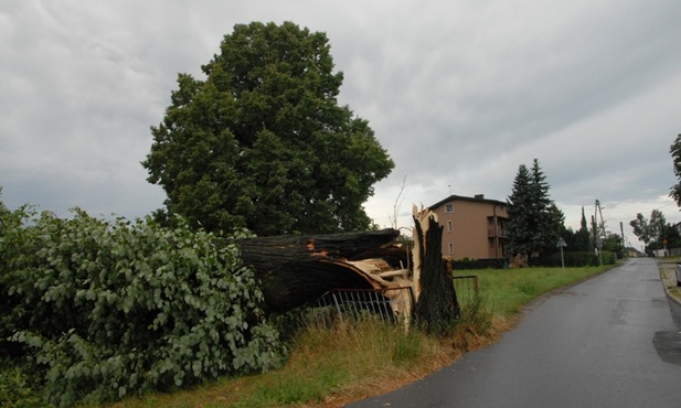 Śląskie: bilans wichury