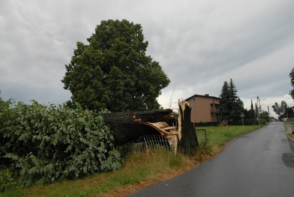 Śląskie: Prawie tysiąc interwencji po nawałnicach