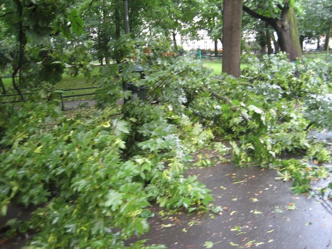 Skutki wichury na krakowskich Plantach