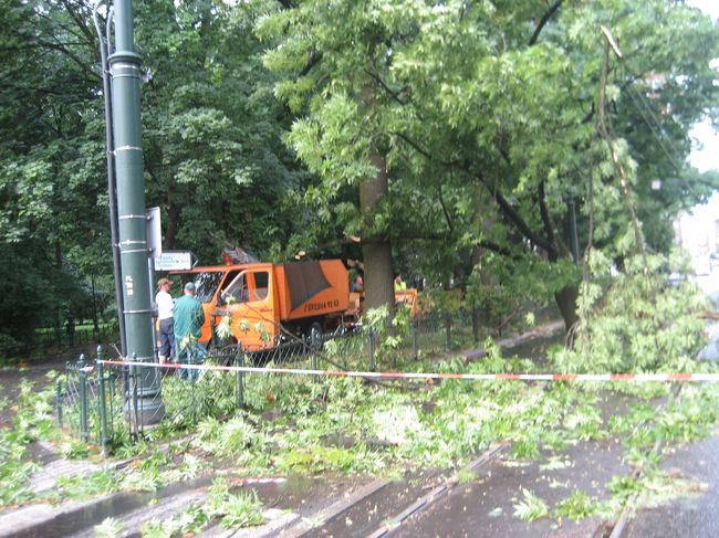 Skutki wichury na krakowskich Plantach