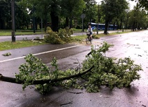 Małopolska po wichurze