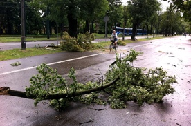 Małopolska po wichurze