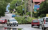 Powalone drzewa całkowicie lub częściowo zablokowały drogi