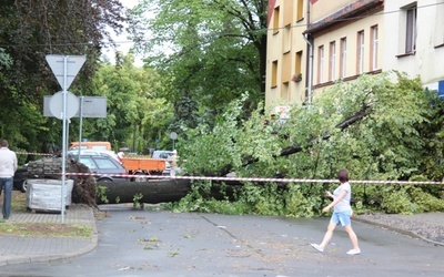 Przewrócone drzewo zablokowało ulicę w centrum Czechowic-Dziedzic