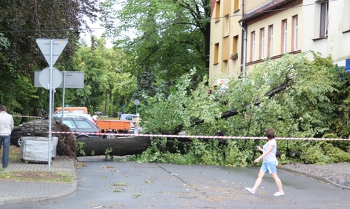 Przewrócone drzewo zablokowało ulicę w centrum Czechowic-Dziedzic