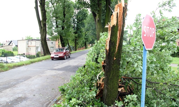 Śląskie: bilans wichury